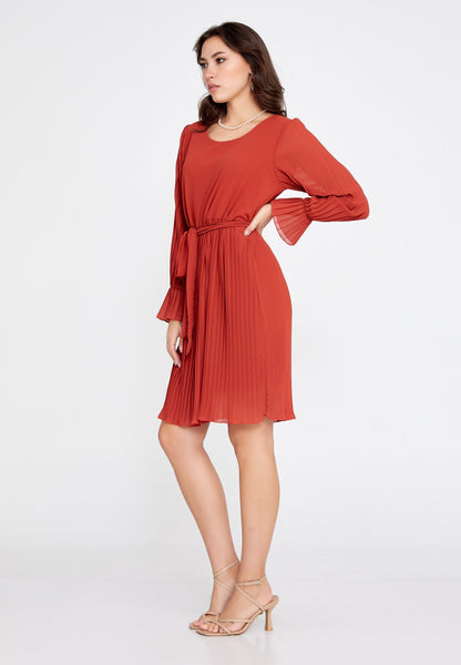 Long-Sleeve Chiffon Mini Dress